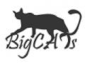 BigCATs